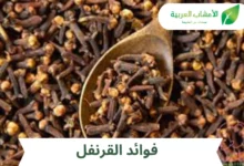فوائد القرنفل للوقاية من السرطان