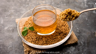 طرق التداوي بالحلبة