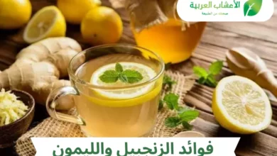 فوائد الزنجبيل والليمون